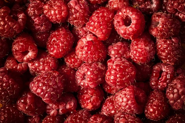 Comment intégrer des pièces de mode masculine dans une tenue féminine ?